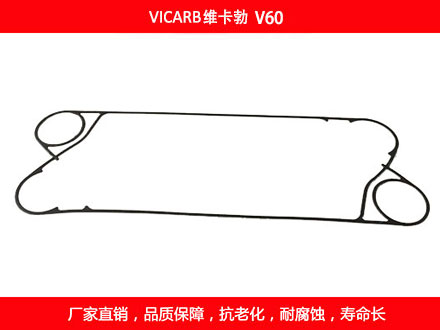 V60 国产板式菠萝视频在线密封垫片