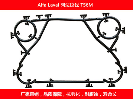 TS6M 国产板式菠萝视频在线密封垫片