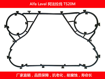TS20M 国产板式菠萝视频在线密封垫片