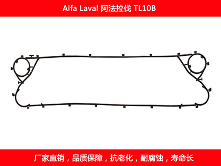 TL10P 国产板式菠萝视频在线密封垫片