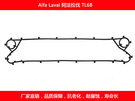 TL6B 国产板式菠萝视频在线密封垫片