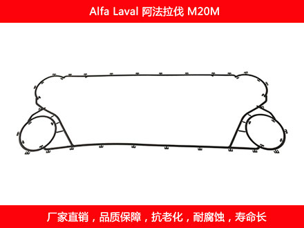 M20M 国产板式菠萝视频在线密封垫片